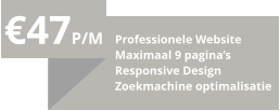 €47P/M Professionele Website Maximaal 9 pagina’s Responsive Design Zoekmachine optimalisatie